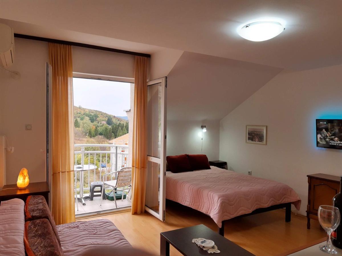 Sky Apartman Soko Banja Eksteriør bilde