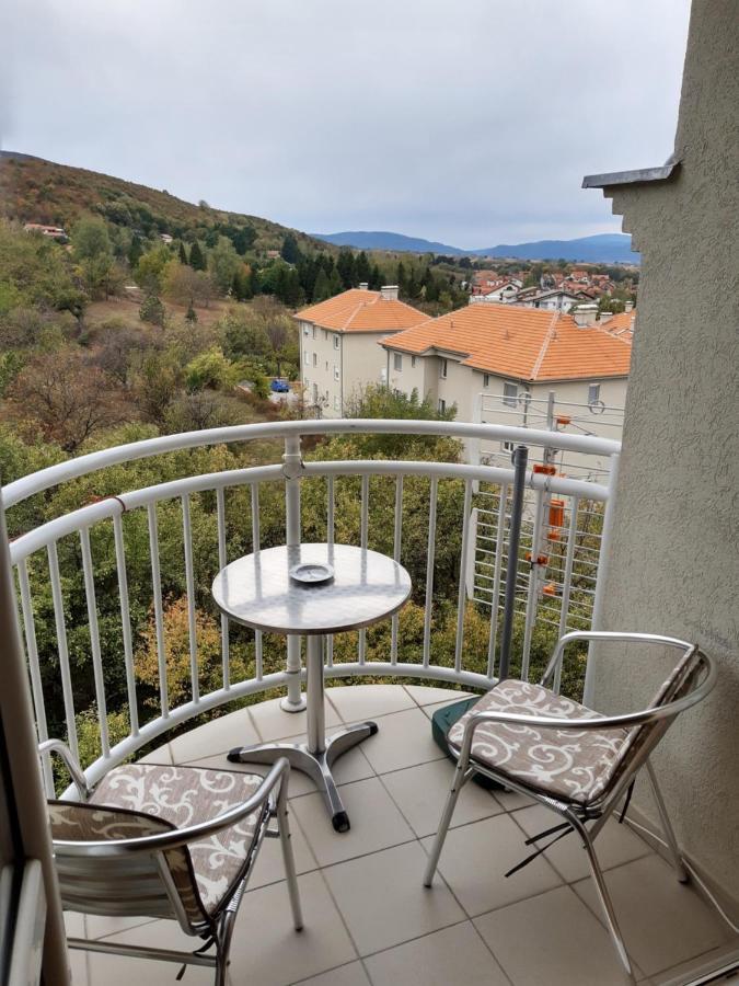 Sky Apartman Soko Banja Eksteriør bilde