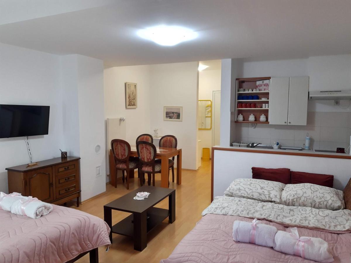 Sky Apartman Soko Banja Eksteriør bilde